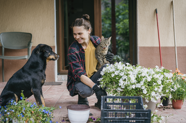 image for Hidden Hazards in Your Backyard: Keeping Cats and Dogs Safe Outdoors